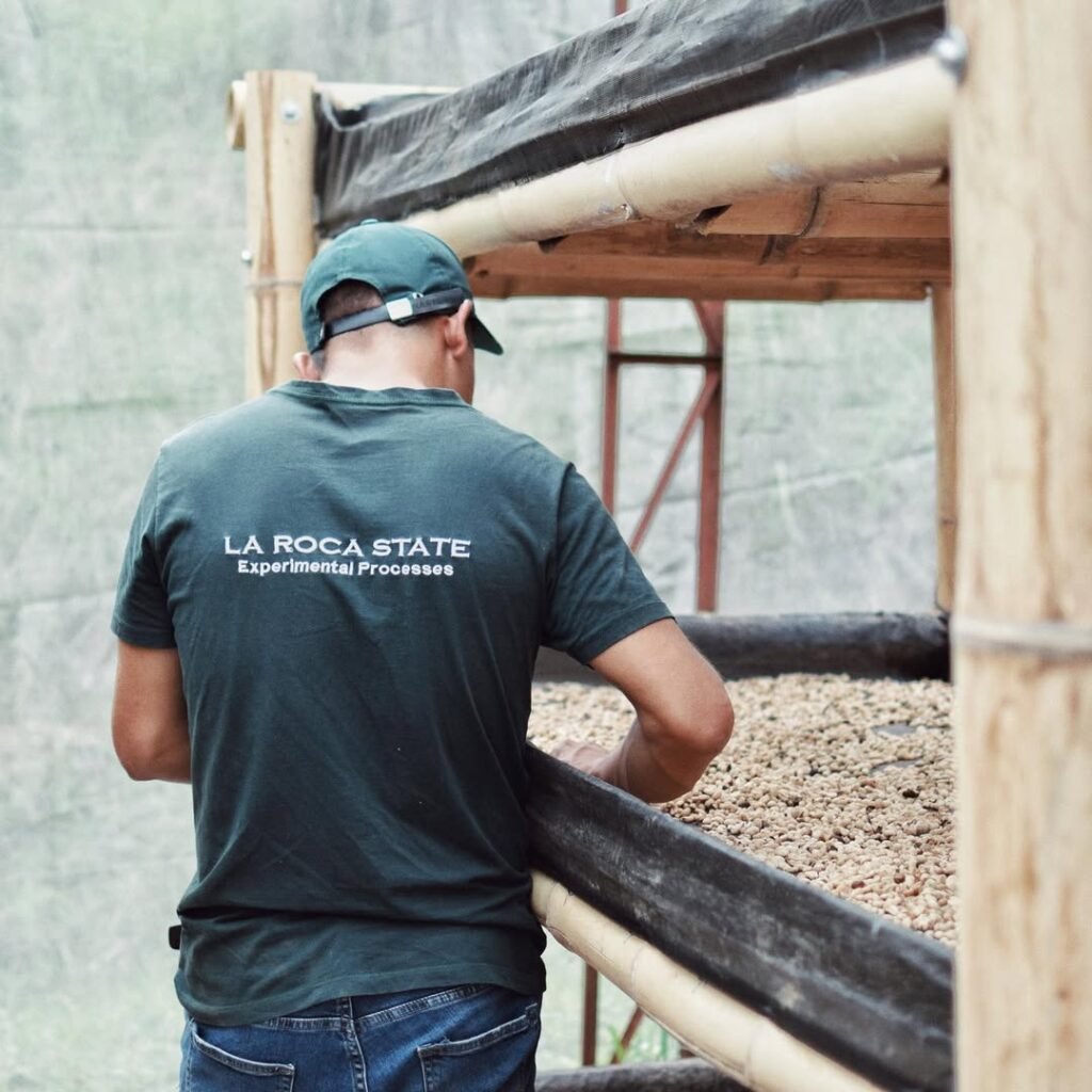 339983200_626808319270579_480691483608863765_n