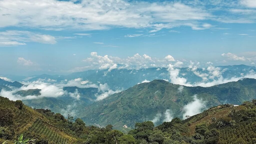 350442696_806681824002393_8293605665229559923_n