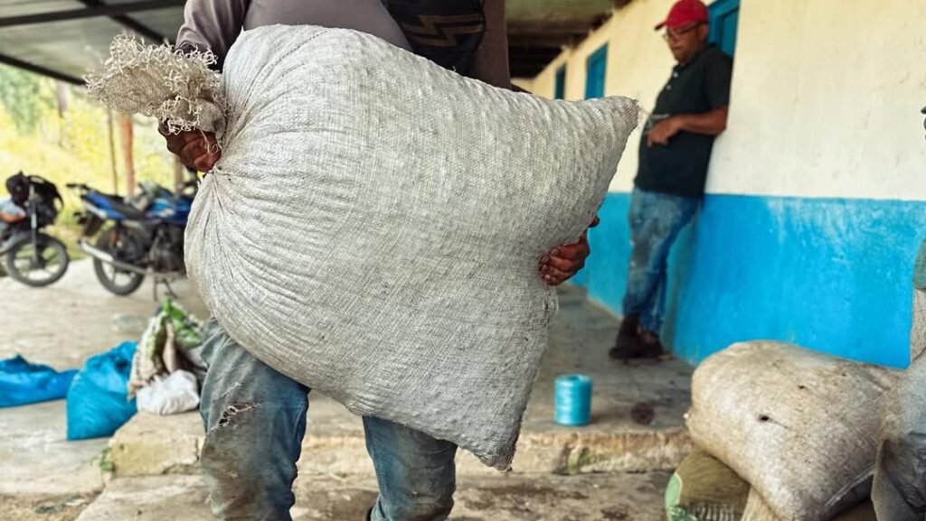 350479621_1269159953971006_4202435993386205179_n