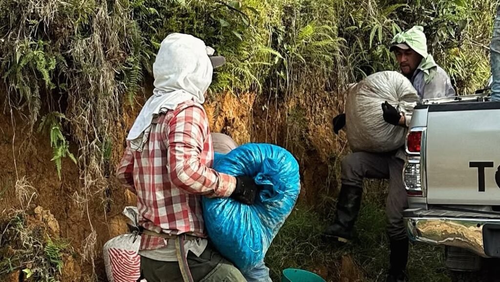 350524315_912274326535356_6631756250803837845_n