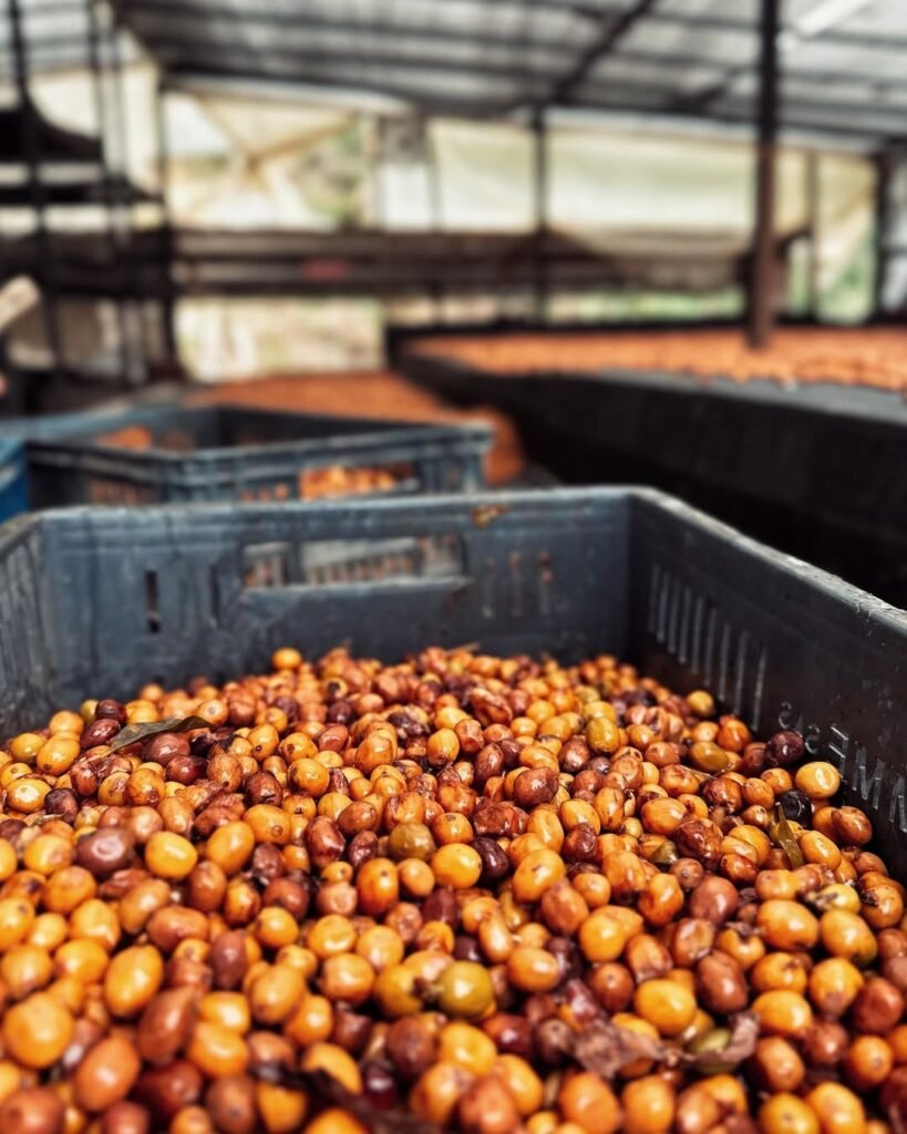 350819521_1211376772868678_1884168374890463454_n