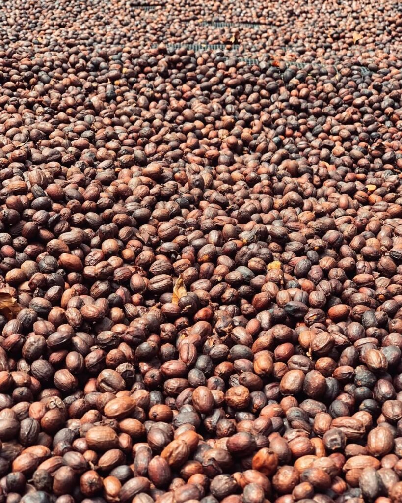 350918680_811684600299291_2788147299870773686_n