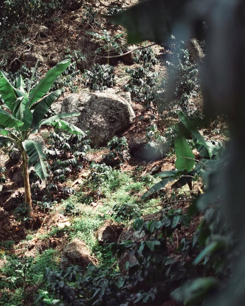 369974760_17991994553479808_9076266124817515192_n