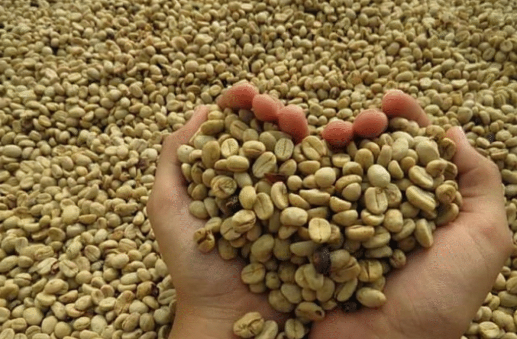 Generated Image November 25, 2025 - 7_25PM